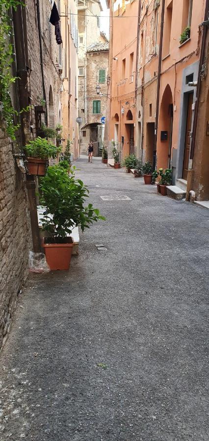 B&B Serena Perugia Eksteriør billede