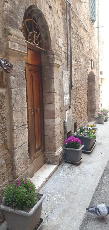 B&B Serena Perugia Eksteriør billede